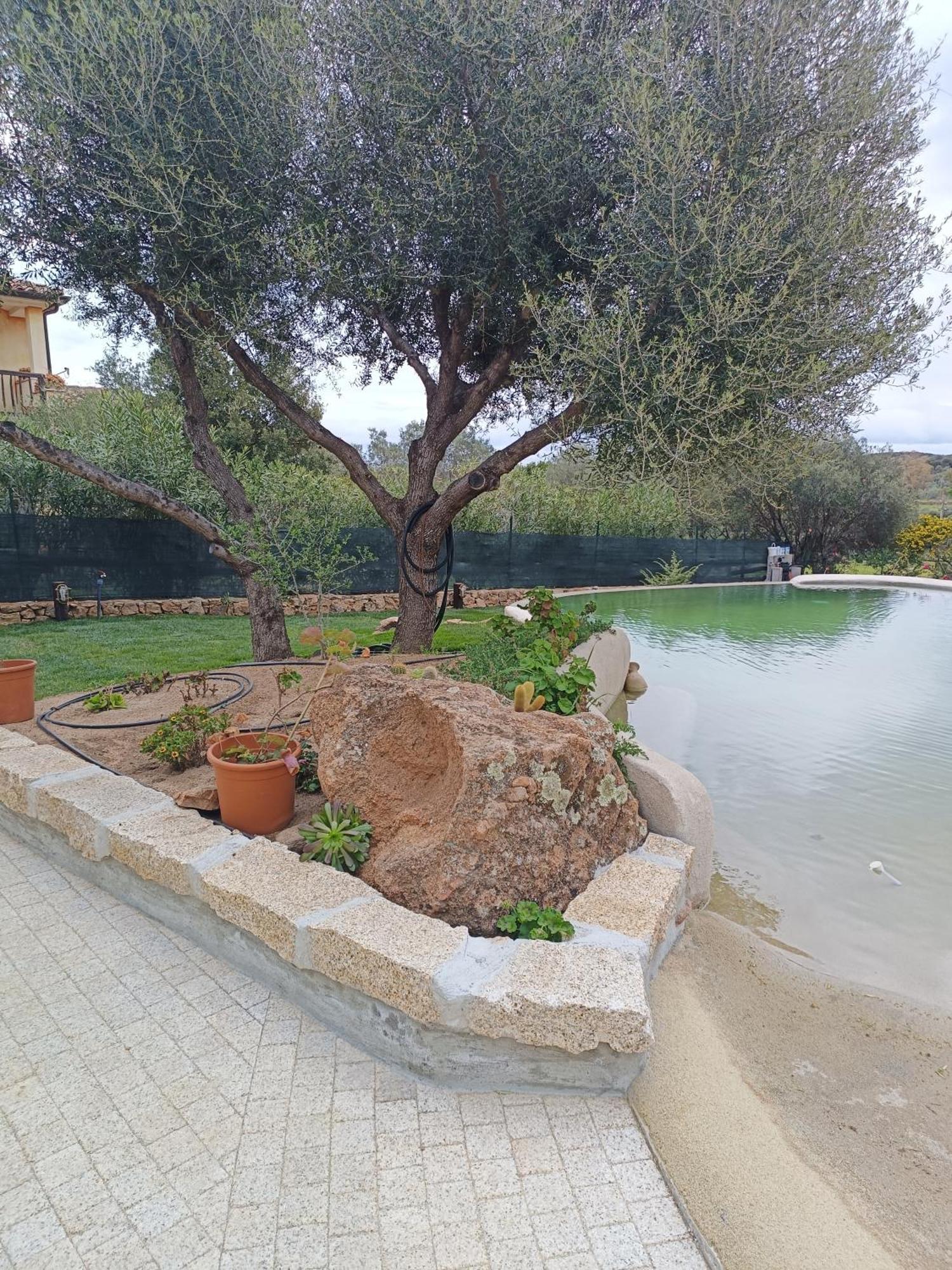 Villa Garden Porto San Paolo  Dış mekan fotoğraf